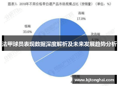 法甲球员表现数据深度解析及未来发展趋势分析